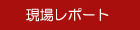 ���ꃌ�|�[�g